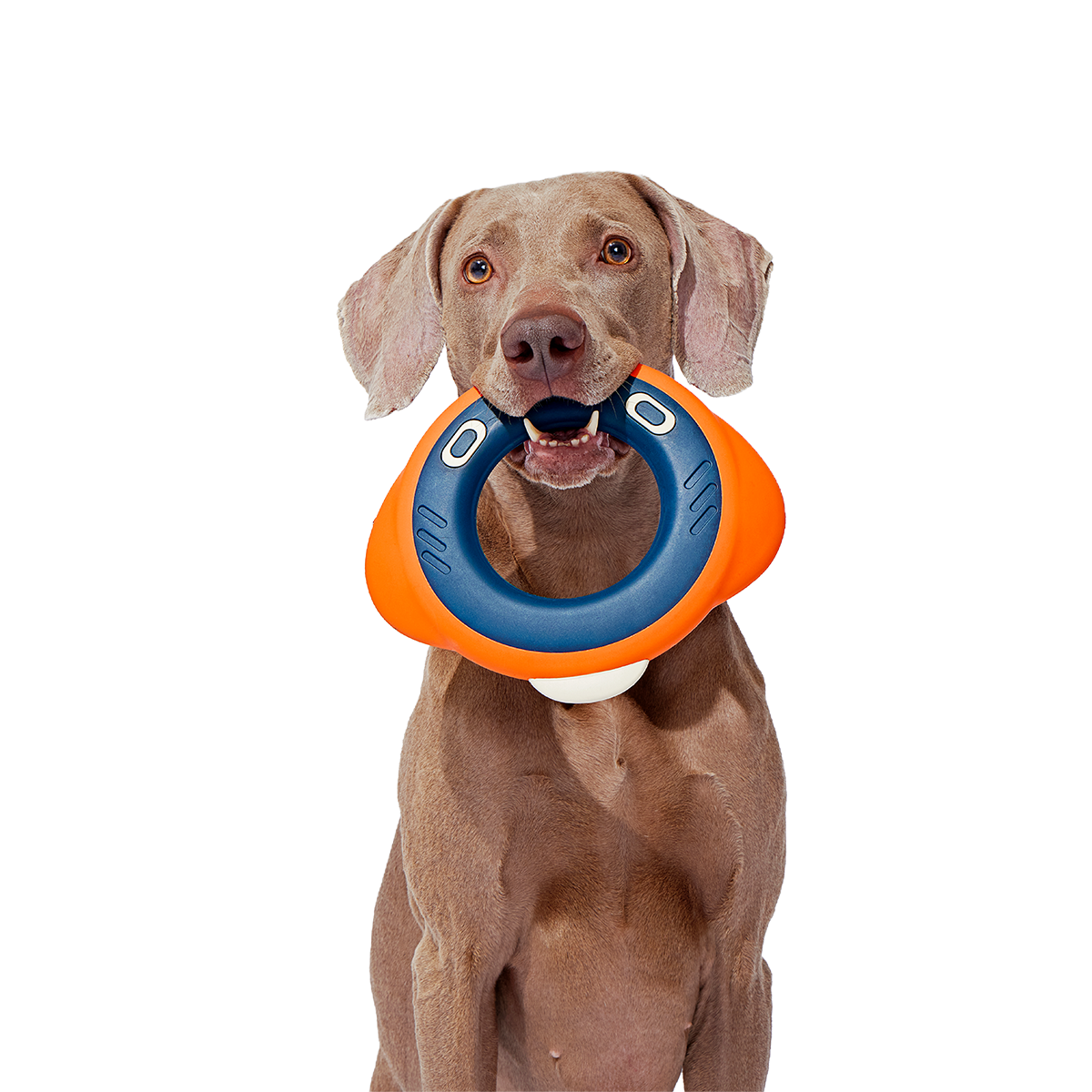 Flingray Super Chewer Durable Fetch Dog Toy