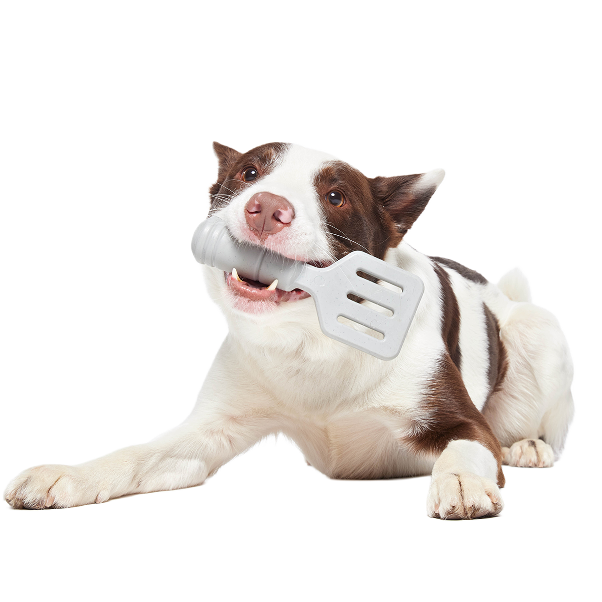 Flip It Good Spatula Super Chewer Durable Gnaw Dog Toy