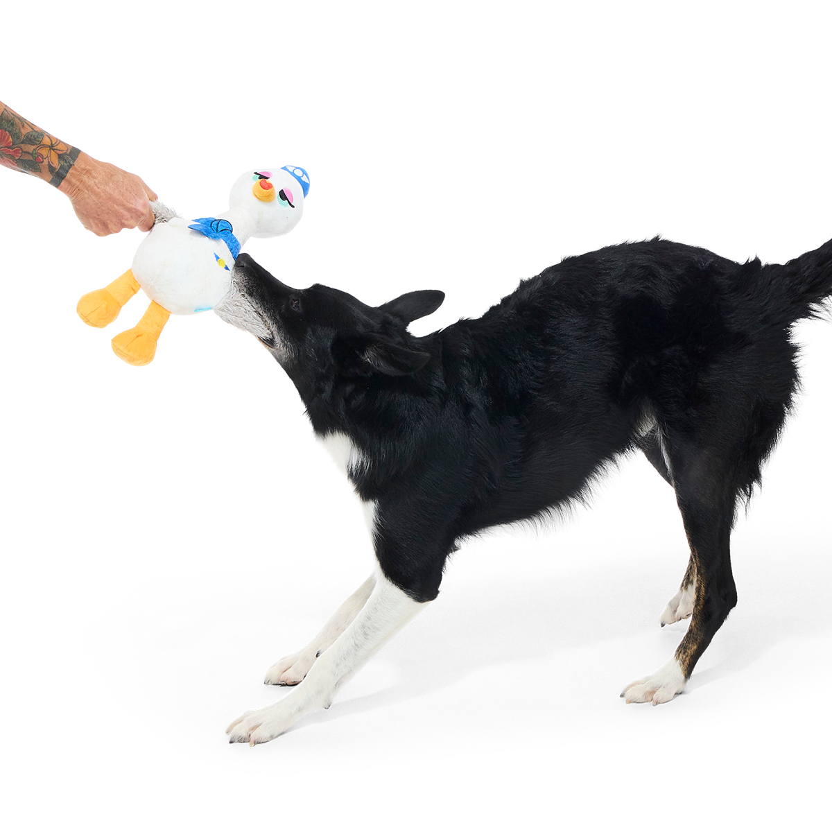 Flying Attendant Plush Tug Dog Toy