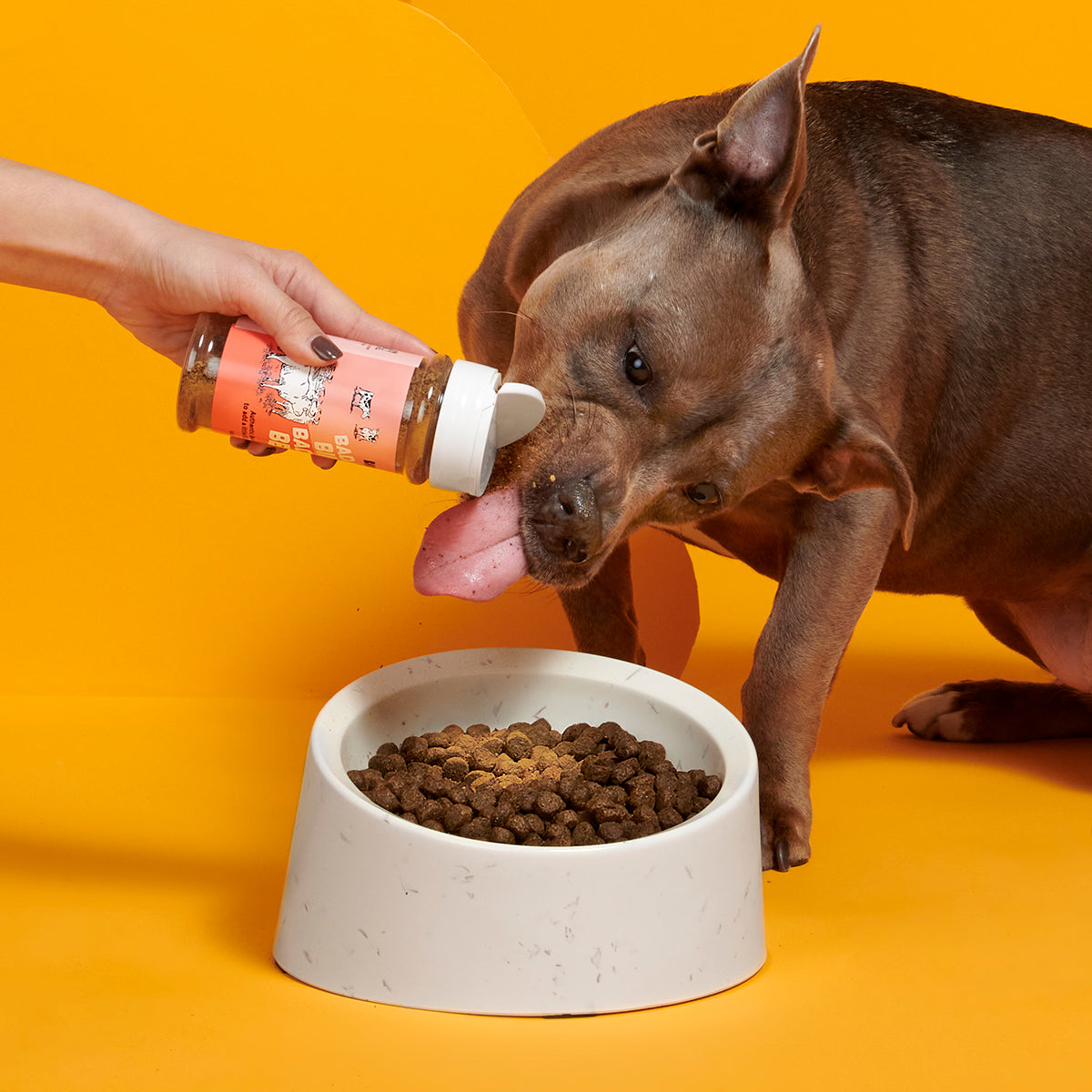 Bada Bing Bada Beef Dog Food Topper