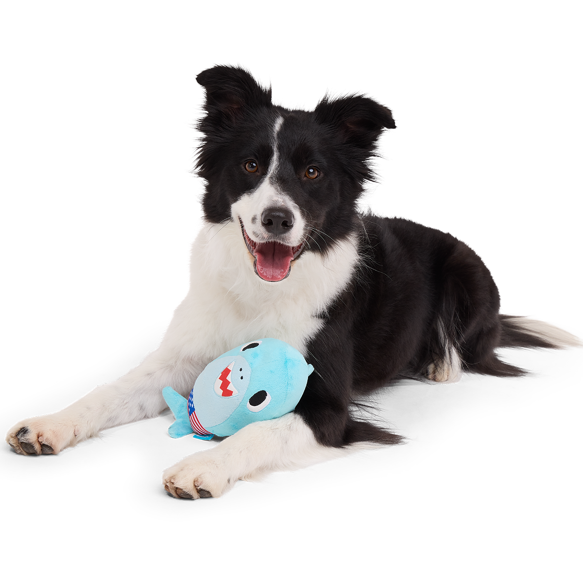 Fourth Of Jawly Jake Plush Tug Dog Toy