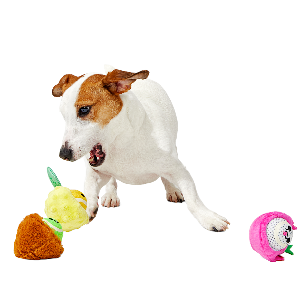 Fruity Cutie Tropical Trio Plush Multi-Part + Fetch Dog Toy