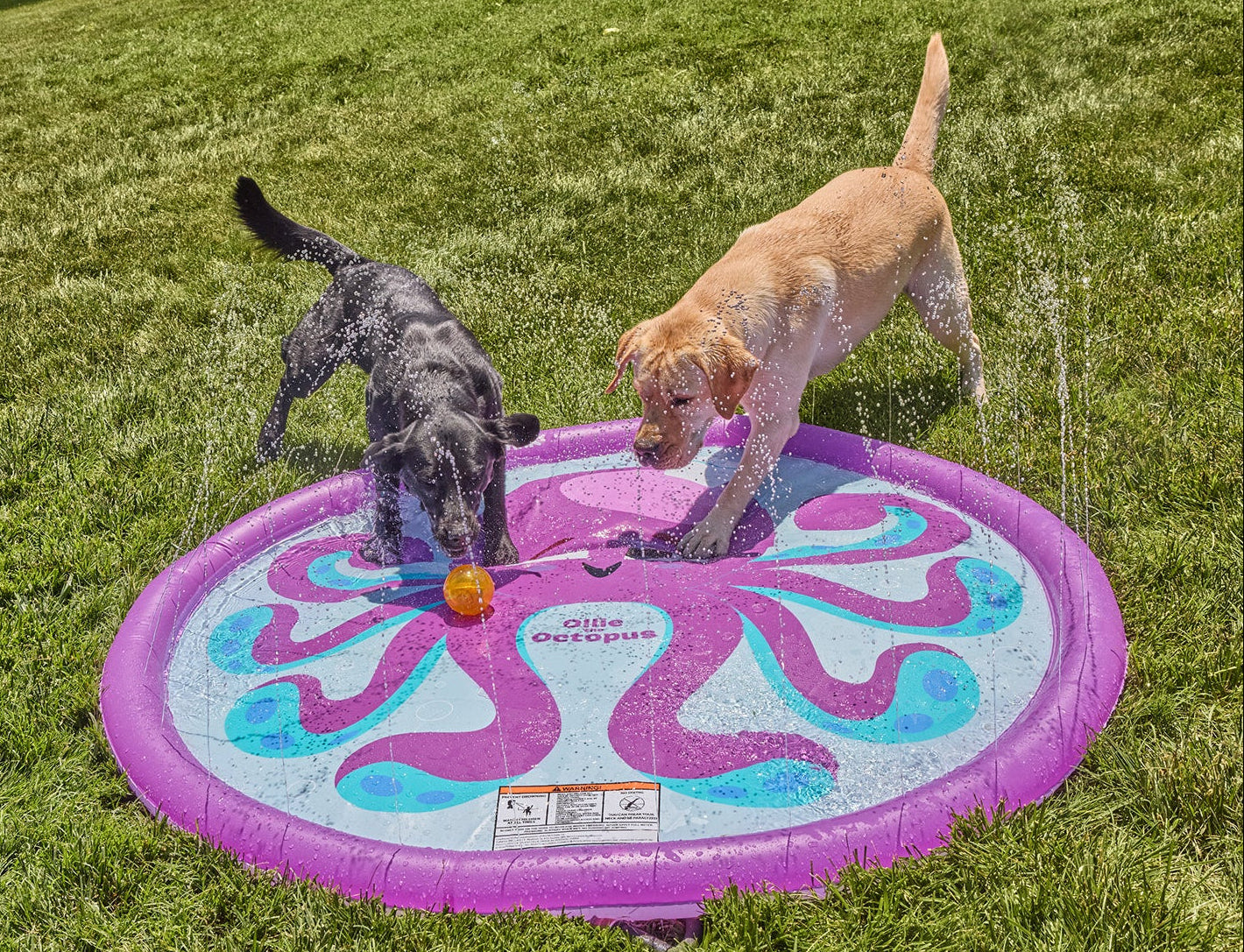 FUNBOY Water Toy