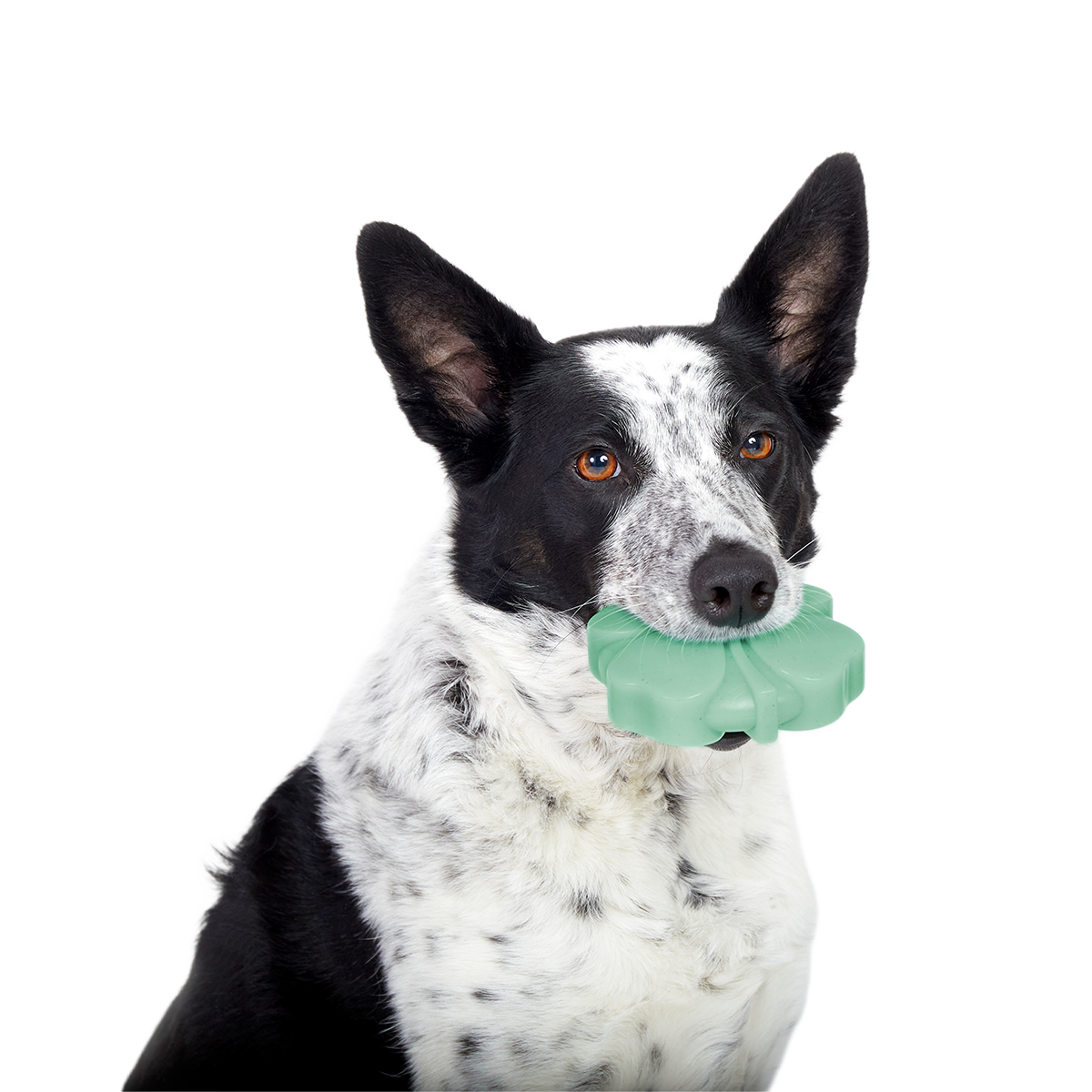 Fur Leaf Clover Super Chewer Durable Gnaw Dog Toy