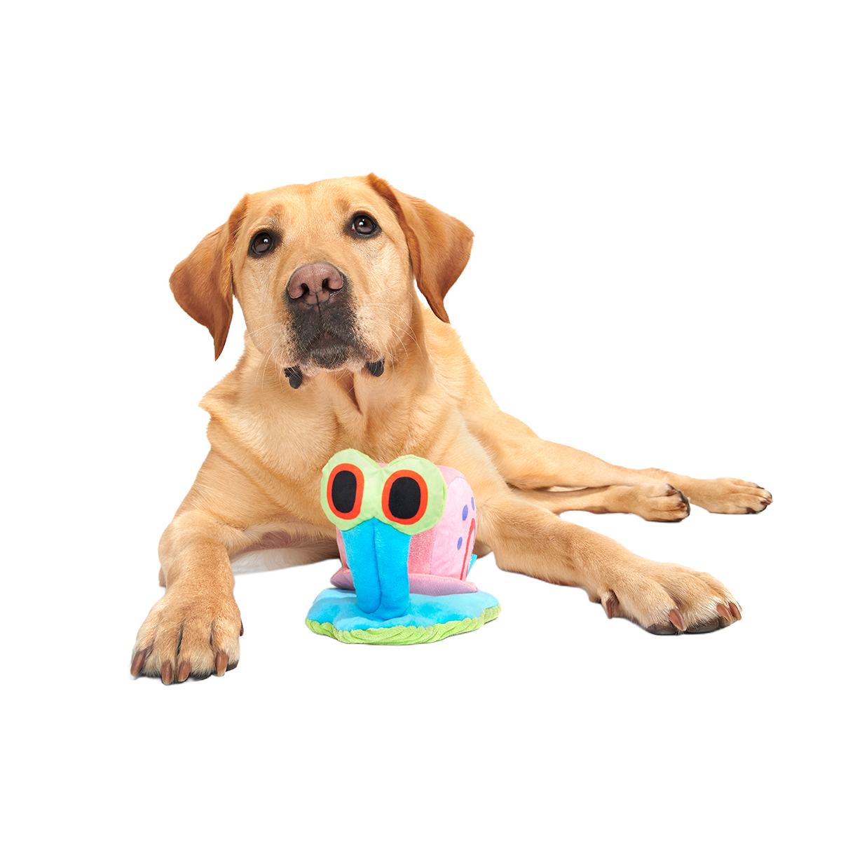 Gary the Snail Plush Tug Dog Toy