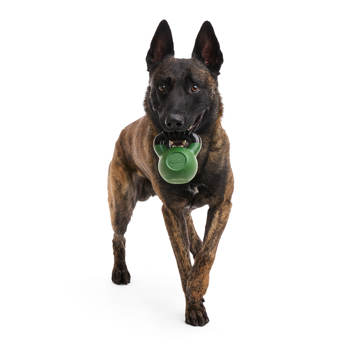 Gnawflex Kettlebell Super Chewer Durable Gnaw Dog Toy