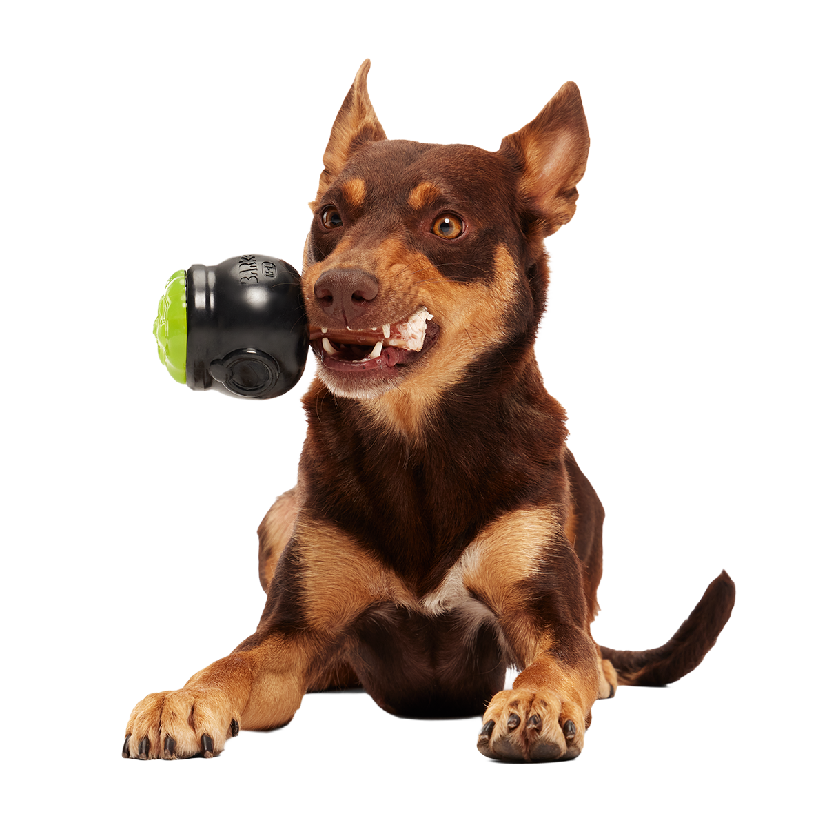 Gnawldron Super Chewer Durable Enrichment Dog Toy