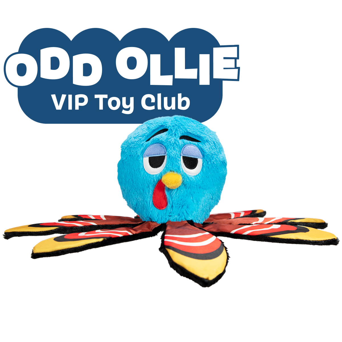 Ollie the Octopus Club, Plush Tug Monthly Dog Toys
