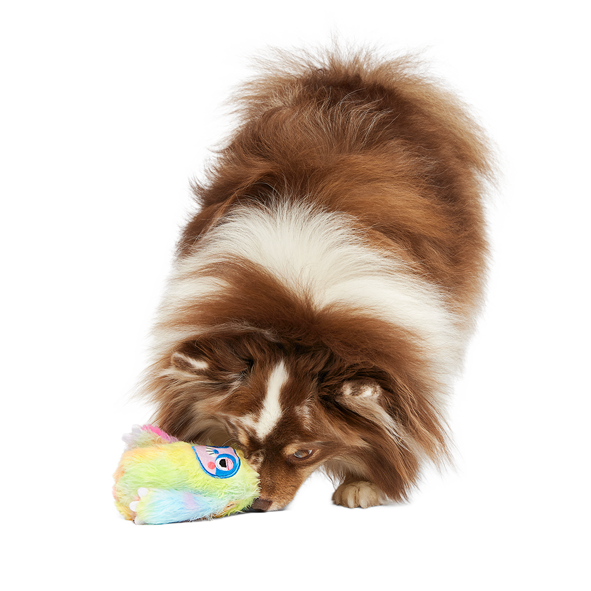 Grateful Ted Super Chewer Durable 2-in-1 + Tug Dog Toy