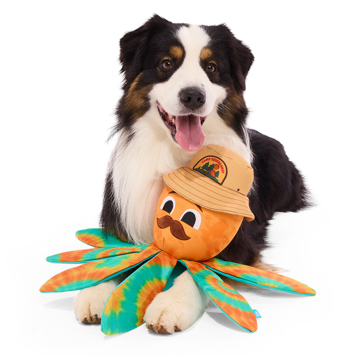 Ollie the Octopus Club, Plush Tug Monthly Dog Toys