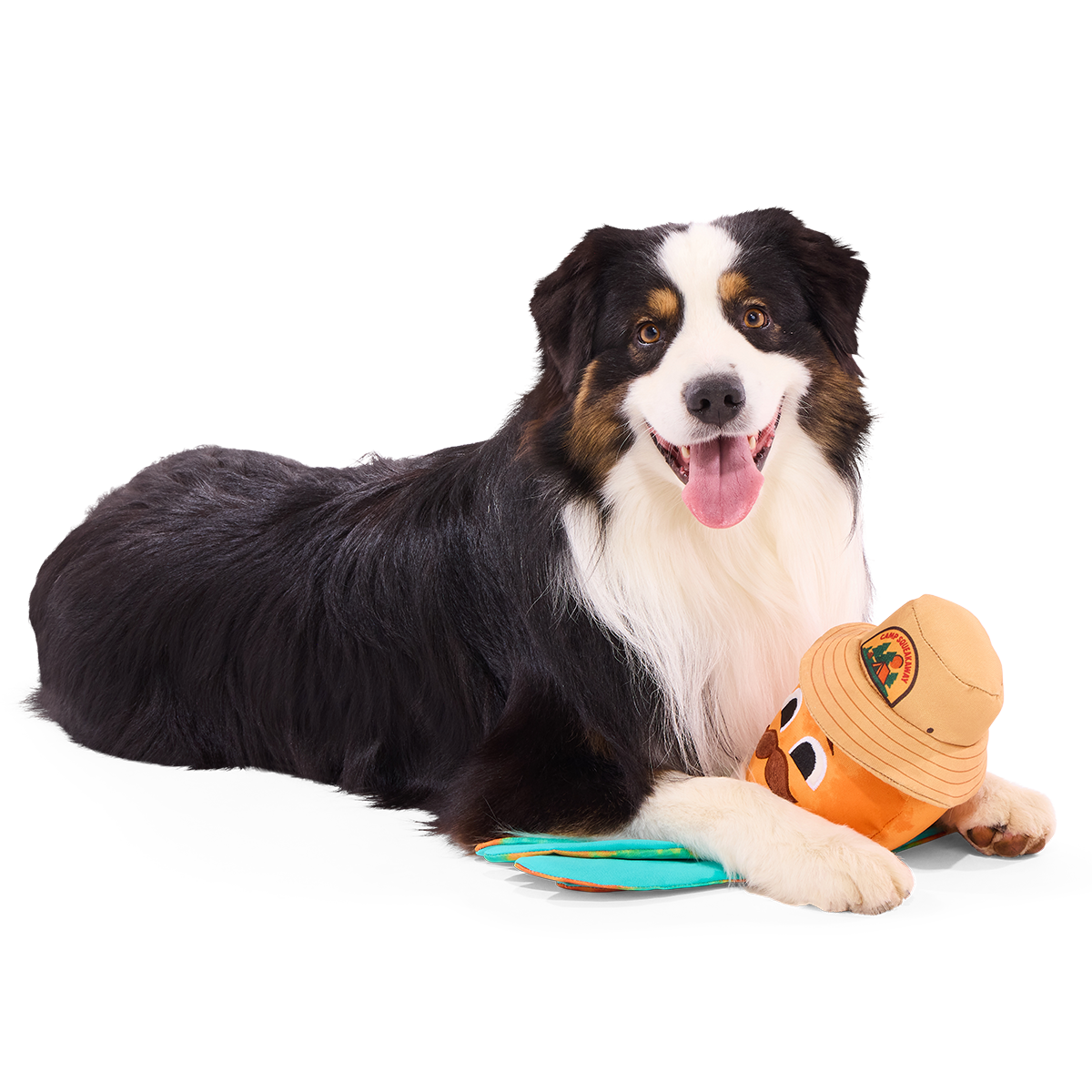 Ollie the Octopus Club, Plush Tug Monthly Dog Toys