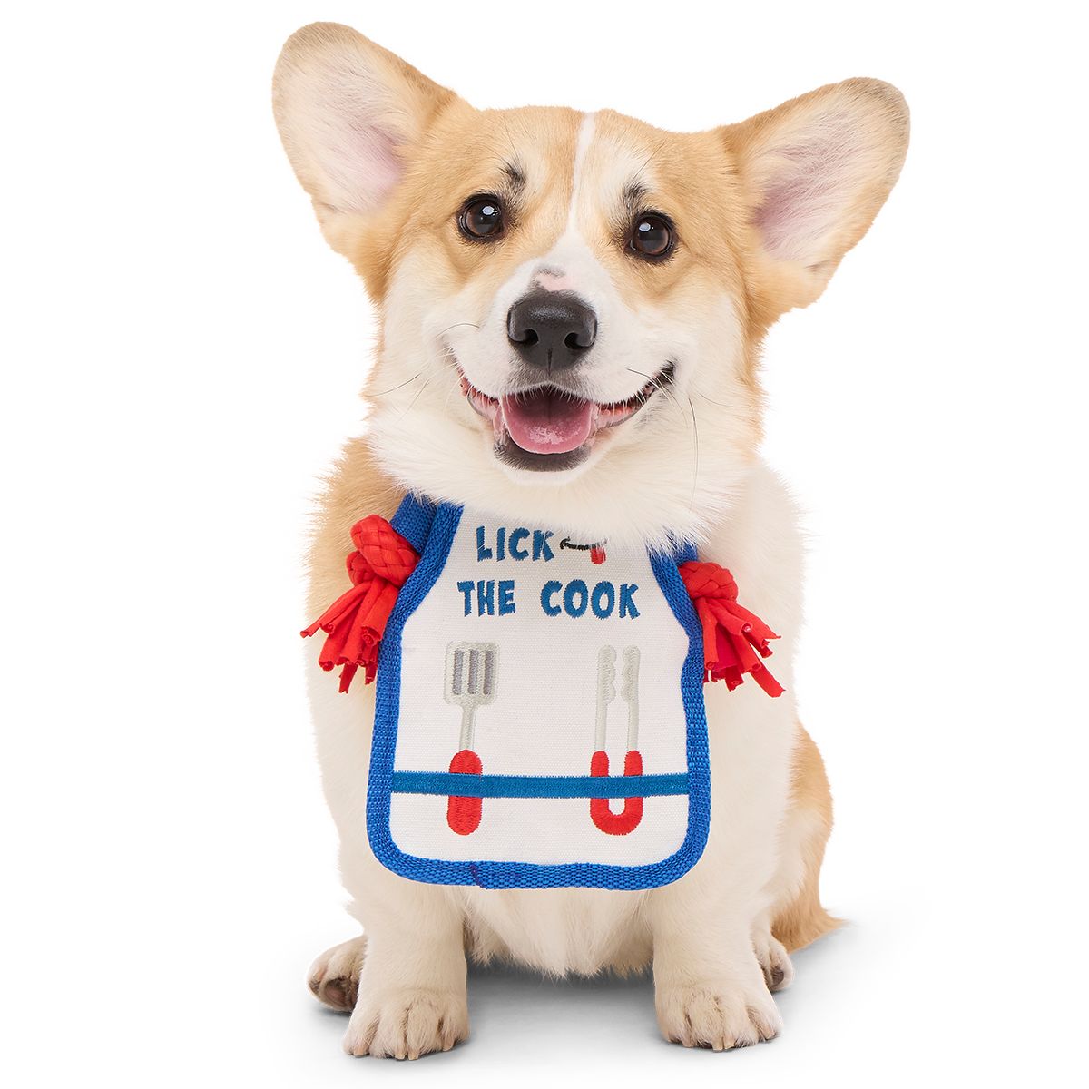 Grrrill Champ Apron Plush Tug + Wearable Dog Toy – BARK