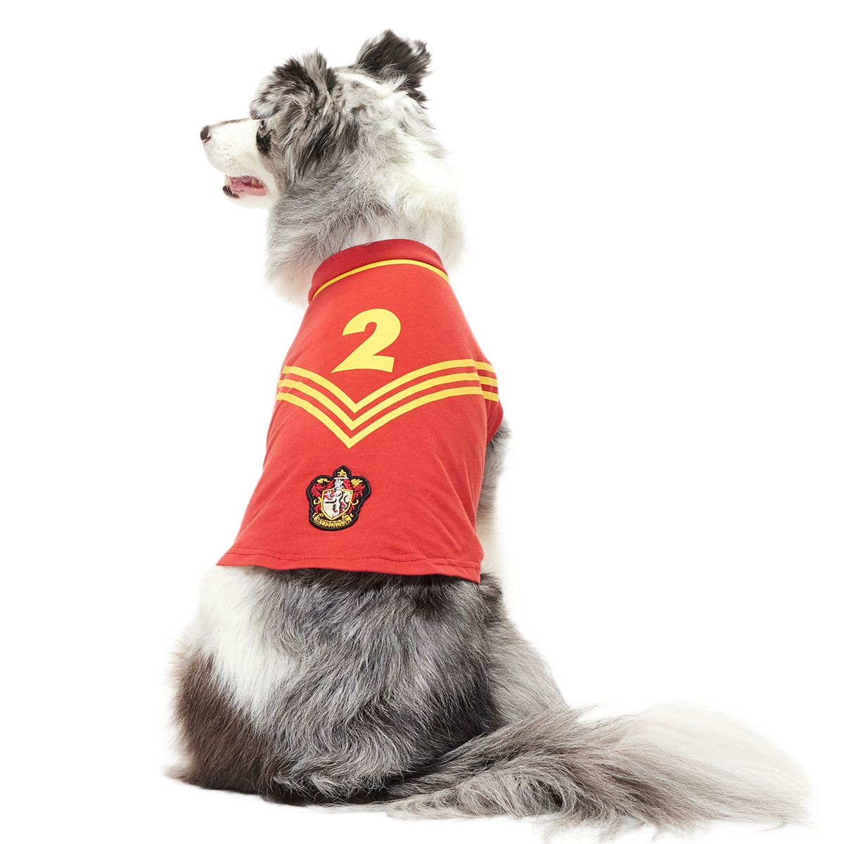 Quidditch™ Jersey#Style_Gryffindor™