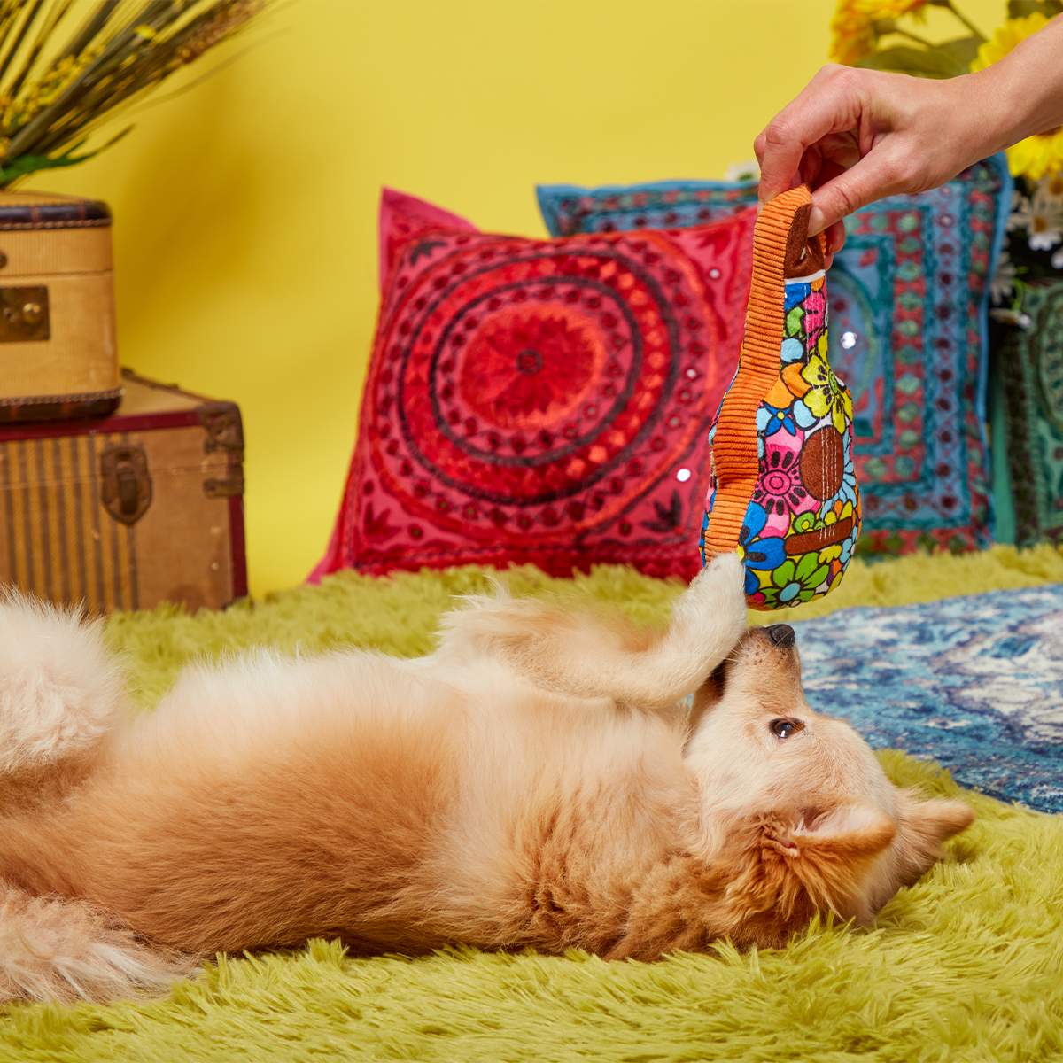 Guitar Licks Plush Tug Dog Toy