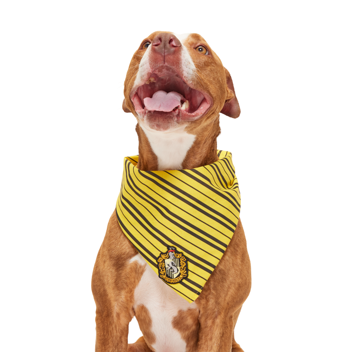 HARRY POTTER™ House Bandana#Style_Hufflepuff™ Bandana