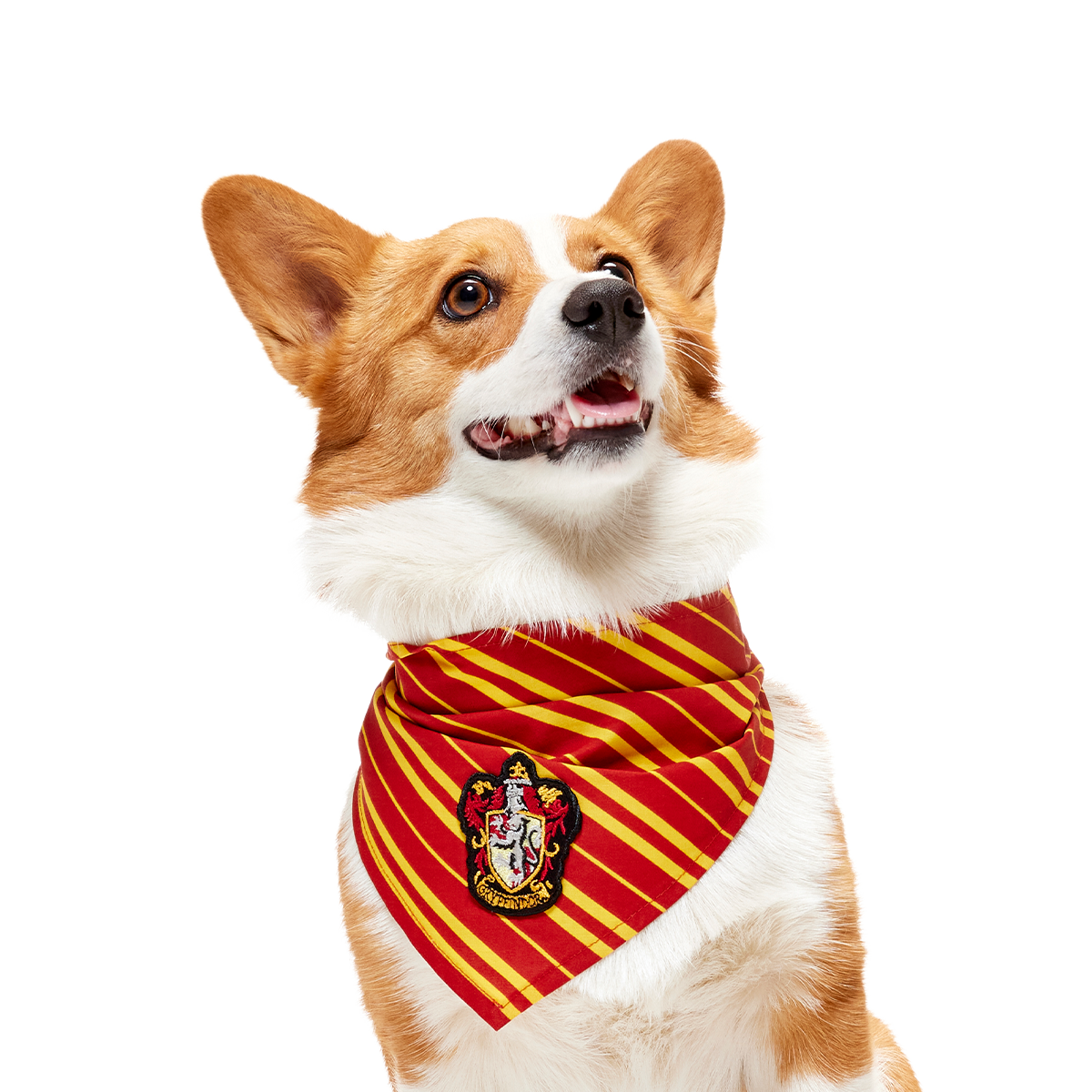 HARRY POTTER™ House Dog Bandana#Style_Gryffindor™ Bandana