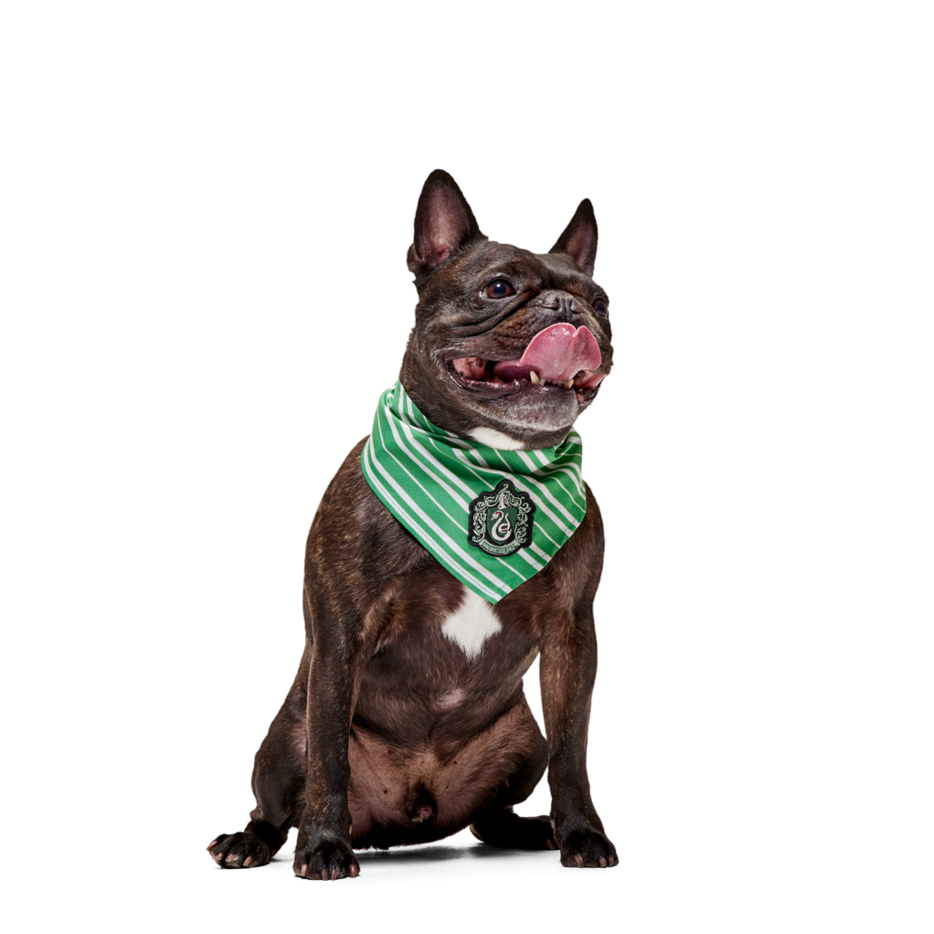 HARRY POTTER™ House Bandana#Style_Slytherin™ Bandana
