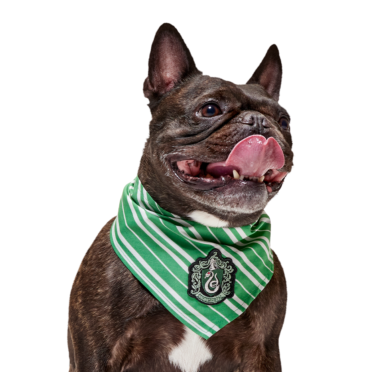 HARRY POTTER™ House Bandana#Style_Slytherin™ Bandana