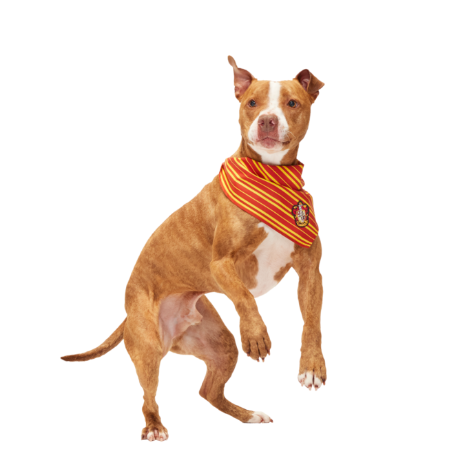 HARRY POTTER™ House Bandana#Style_Gryffindor™ Bandana
