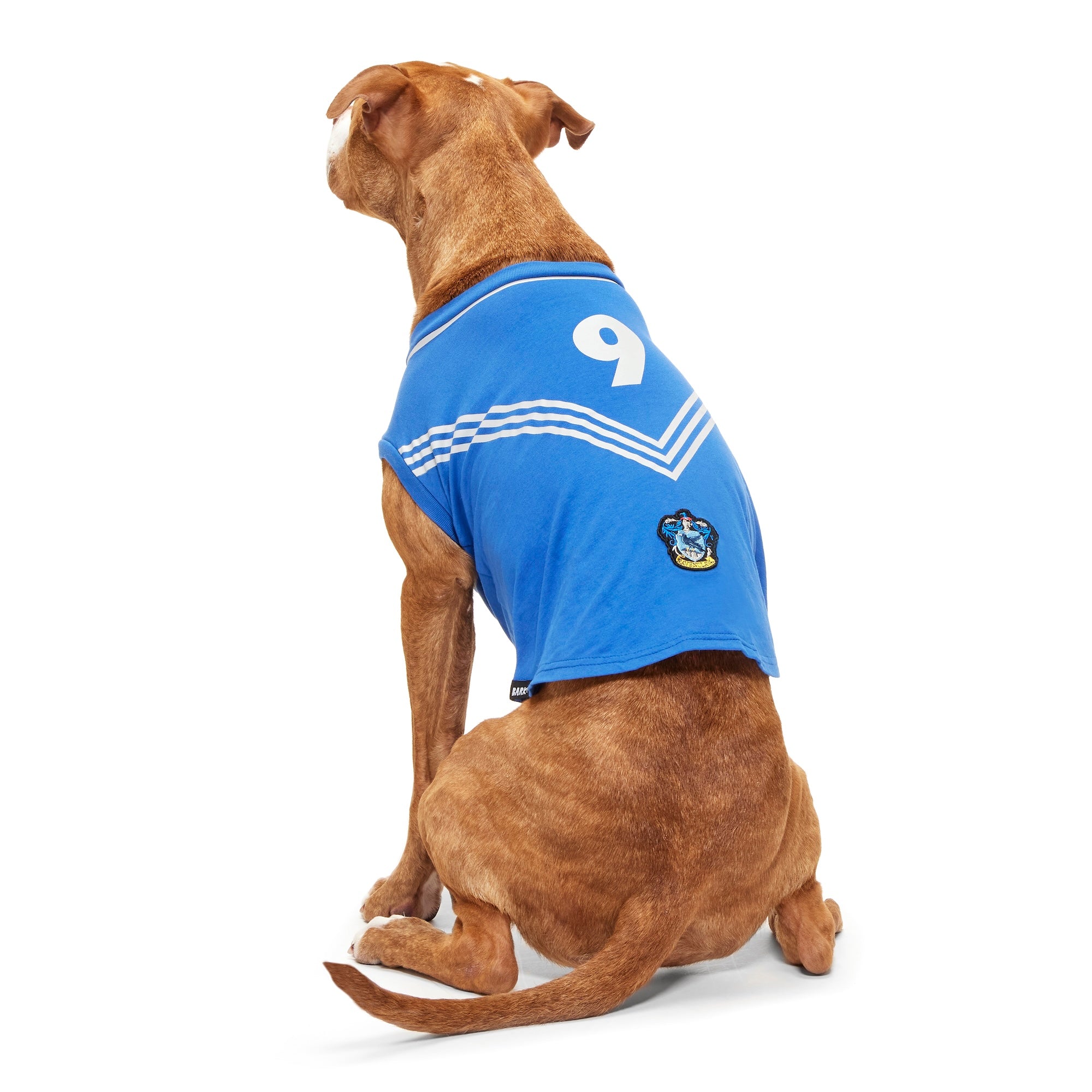 Quidditch™ Jersey#Style_Ravenclaw™