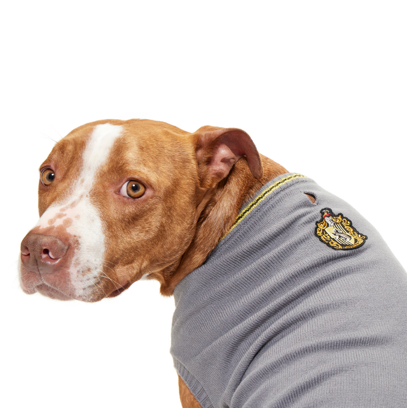 HOME-ATB-GWP_212819_HUFFLEPUFF-SWEATER-XL-XXL_2173-1201x801-83b3acf#Style_hufflepufff™