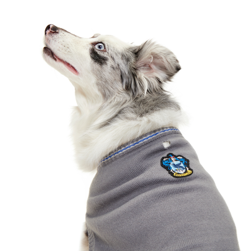 HOME-ATB-GWP_212822_RAVENCLAW-SWEATER-XL-XXL_2261-1200x800-9b9f185_13dd2326-b942-4ce9-8a0d-35043a72080a#Style_Ravenclaw™