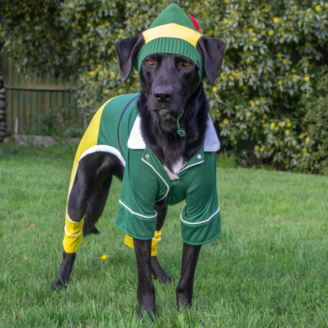 Elf Dog Toy & Treat Holiday Gift Box