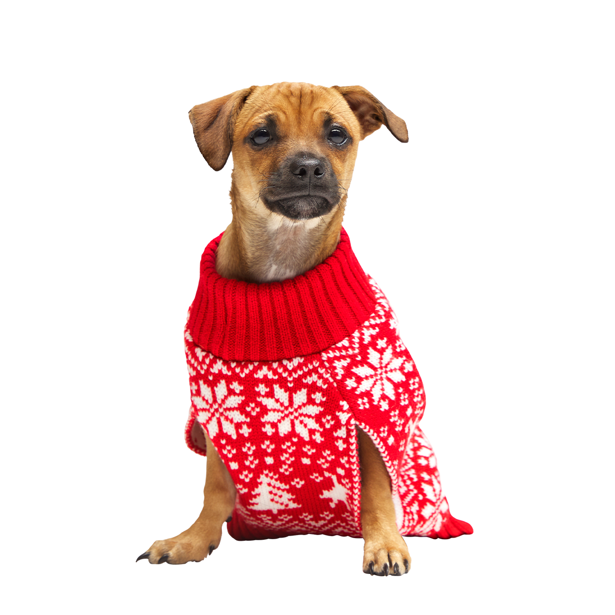 Holiday Dog Sweater#Size_S