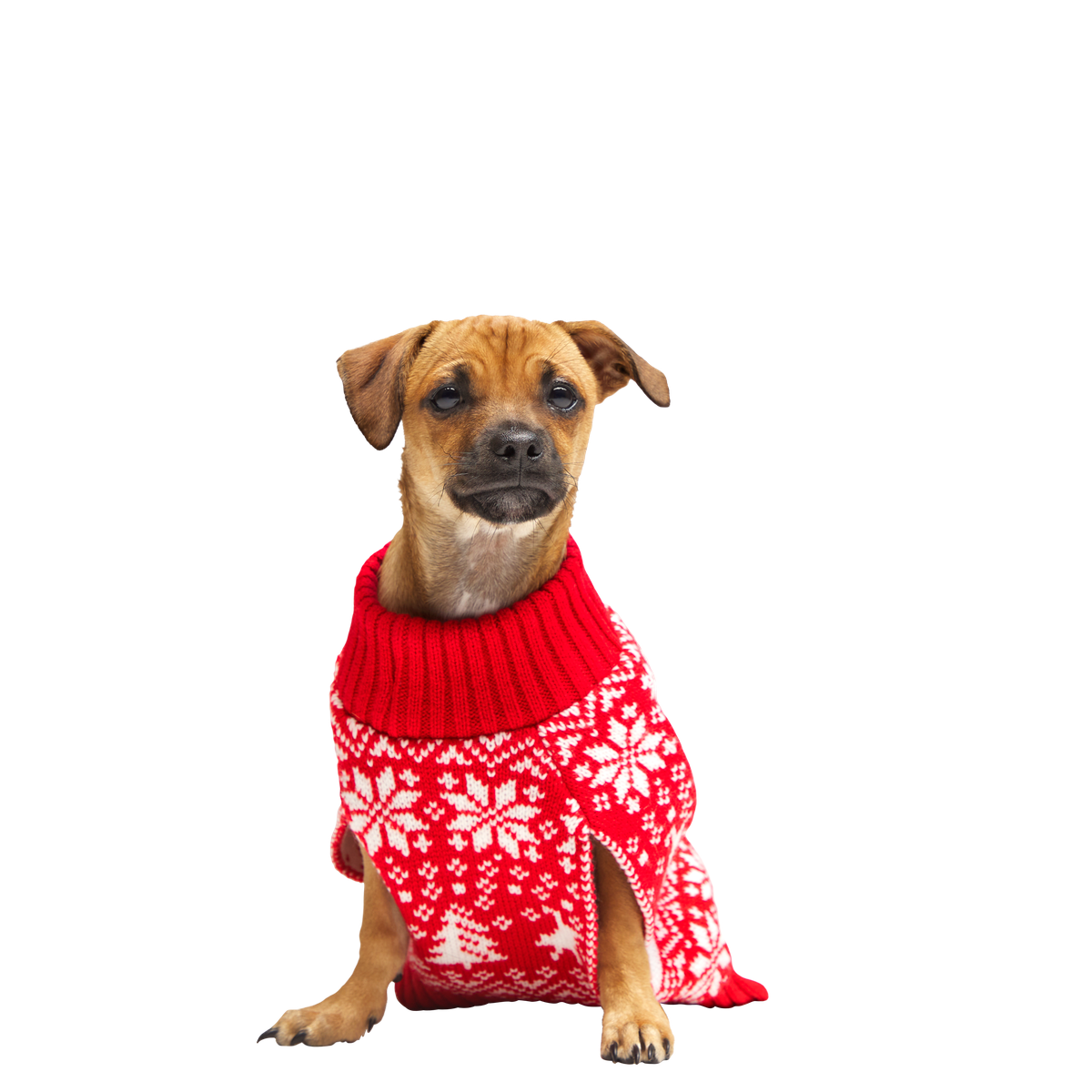 HOME-ATB_211121_REINDEER-SWEATER-L_4137_cropped#Size_S