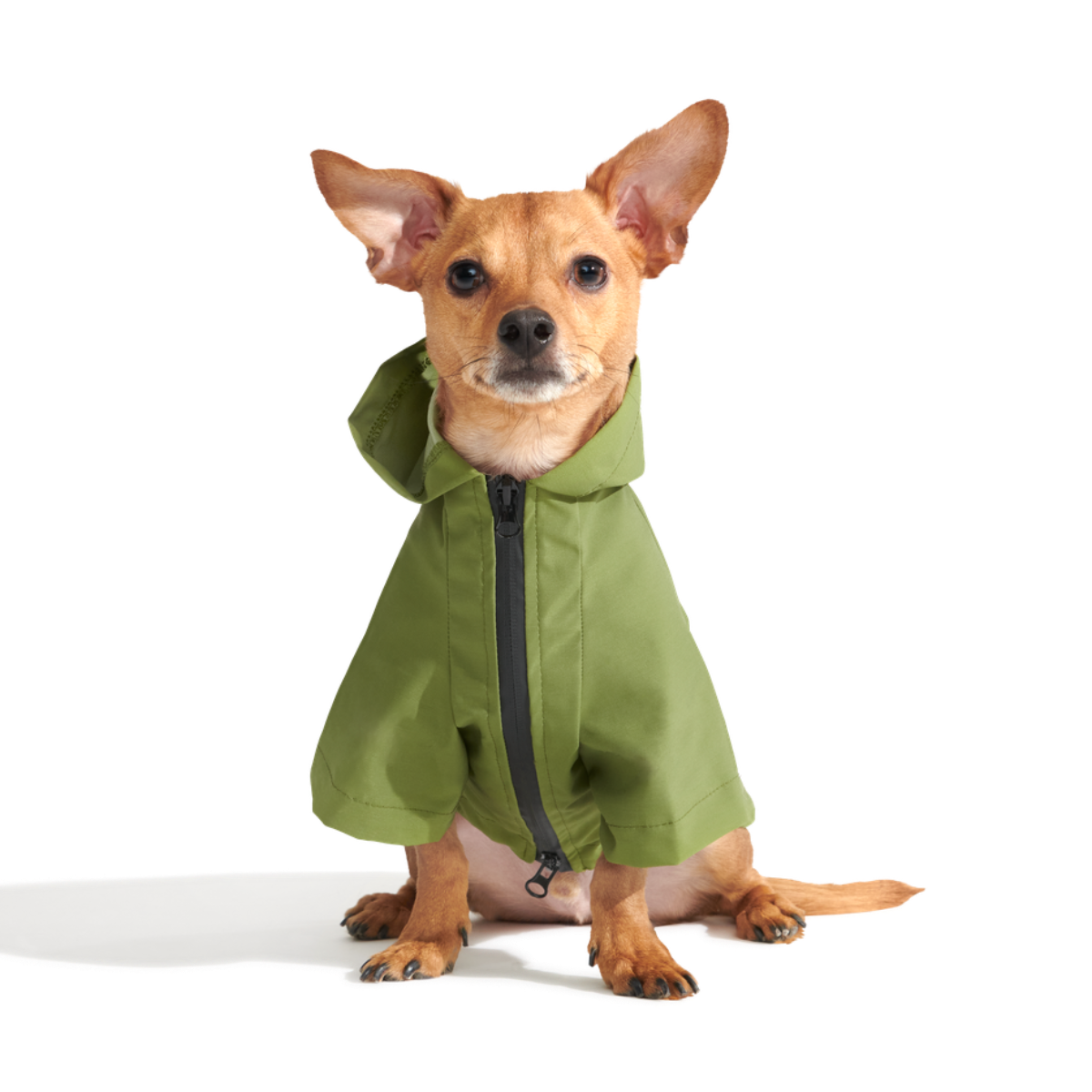 The Dry Dog Raincoat