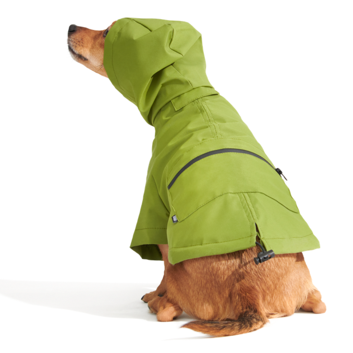 The Dry Dog Raincoat