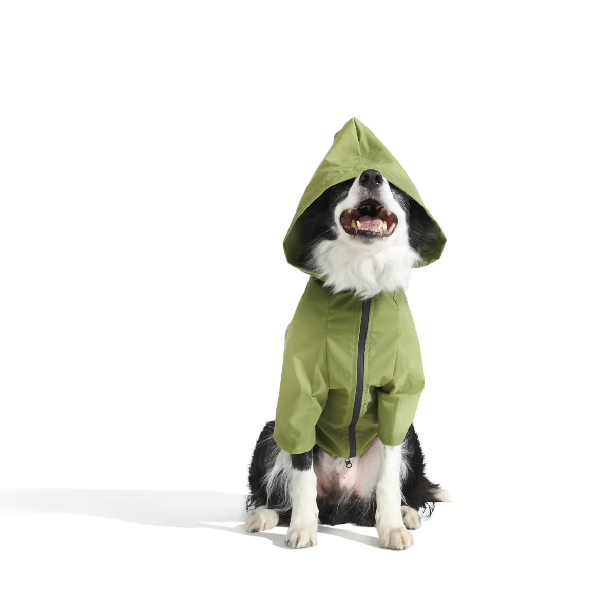 The Dry Dog Raincoat