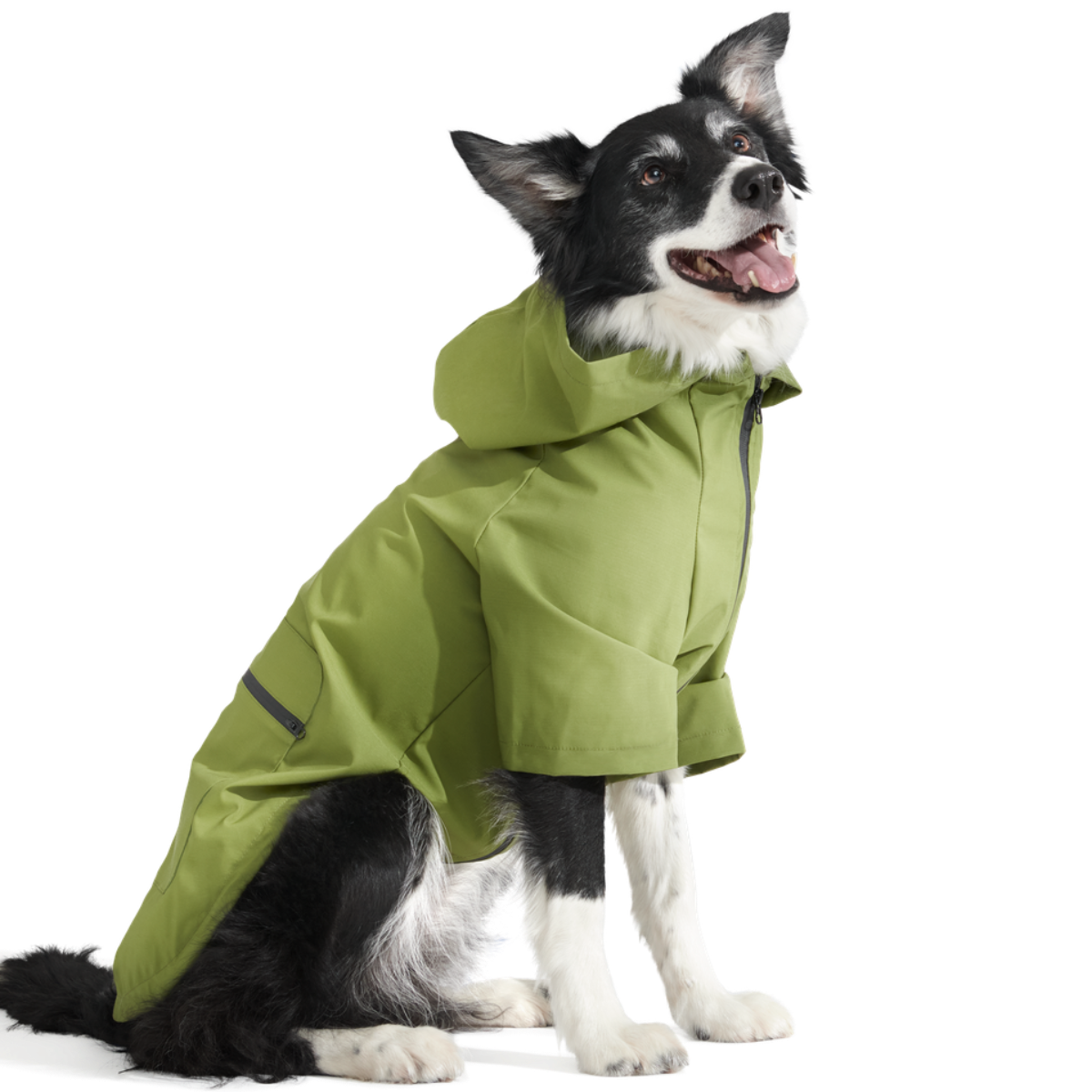 The Dry Dog Raincoat
