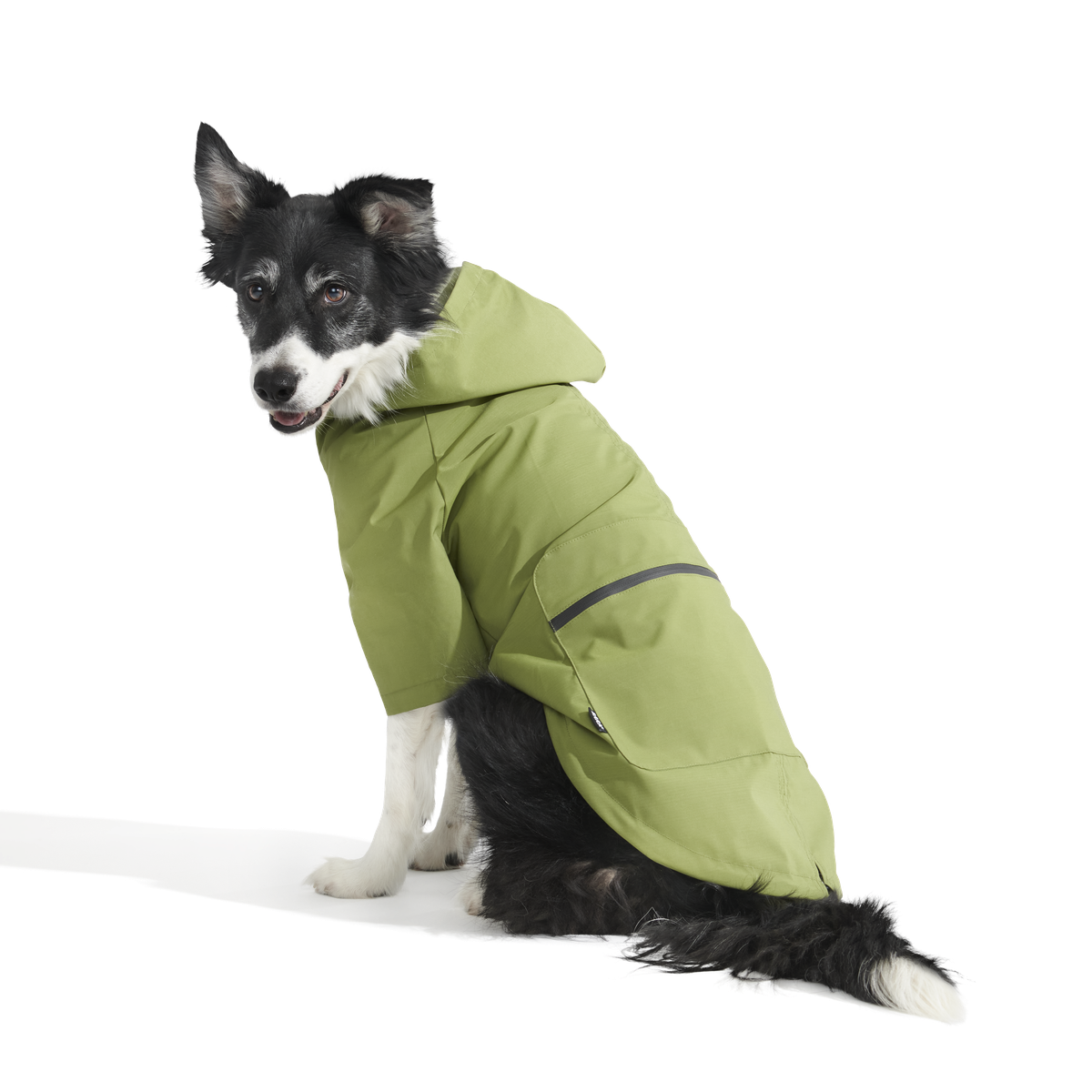 The Dry Dog Raincoat