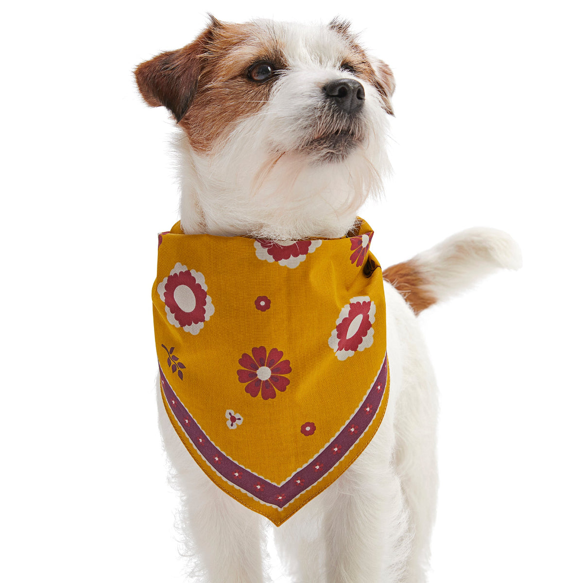 Fall Reversible Dog Bandana