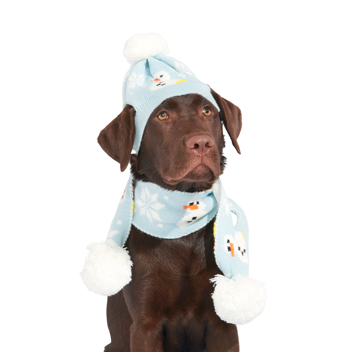 The Snowman Matching Set For Dogs And Humans