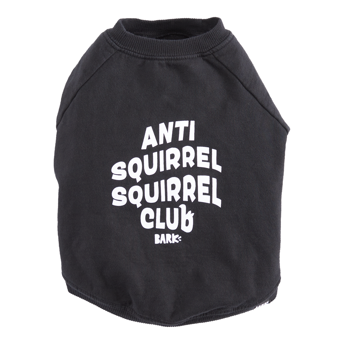 Anti-Squirrel Squirrel Club Sweatshirt