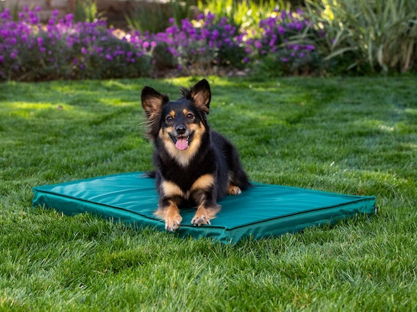 Outdoor Dog Bed