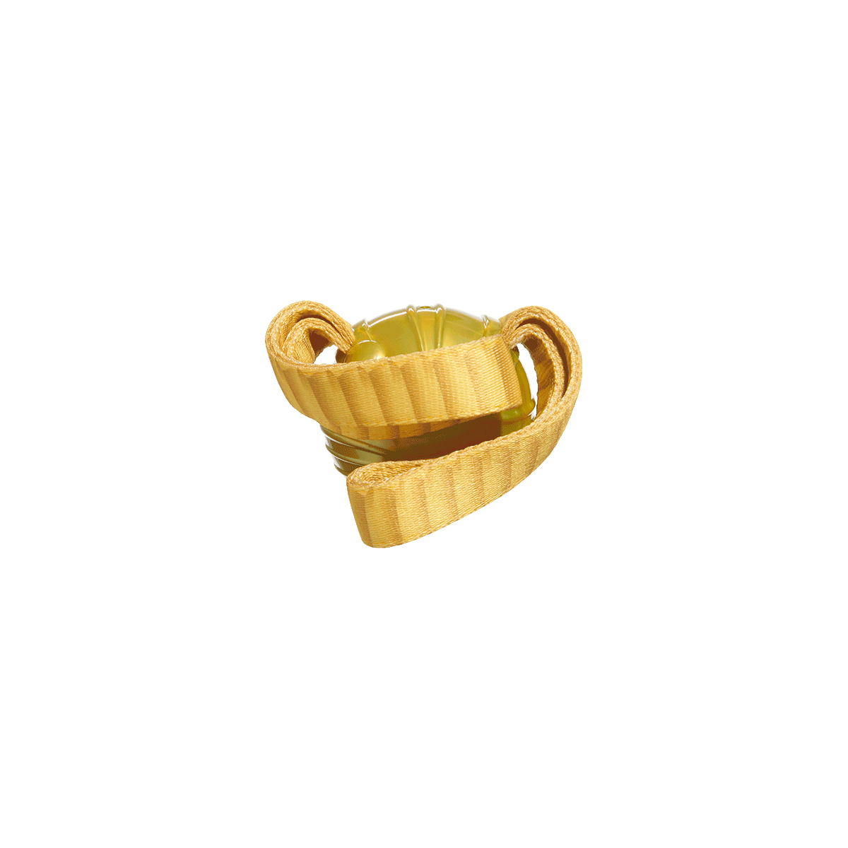 The Golden Snitch™