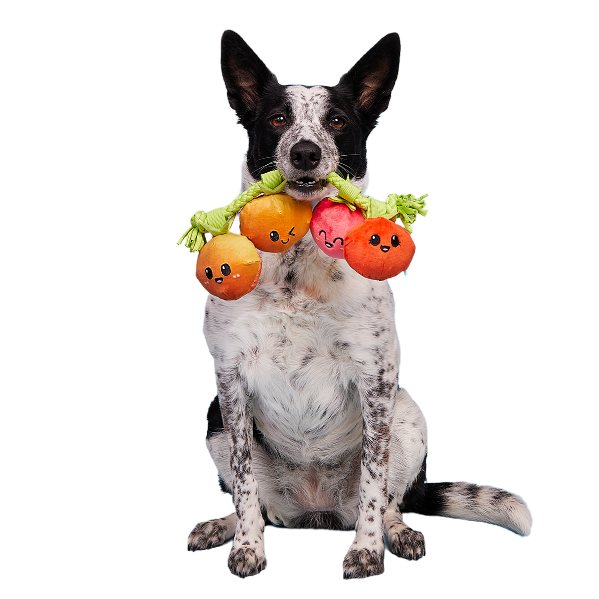 Hairloom Tomatoes Plush Tug Dog Toy