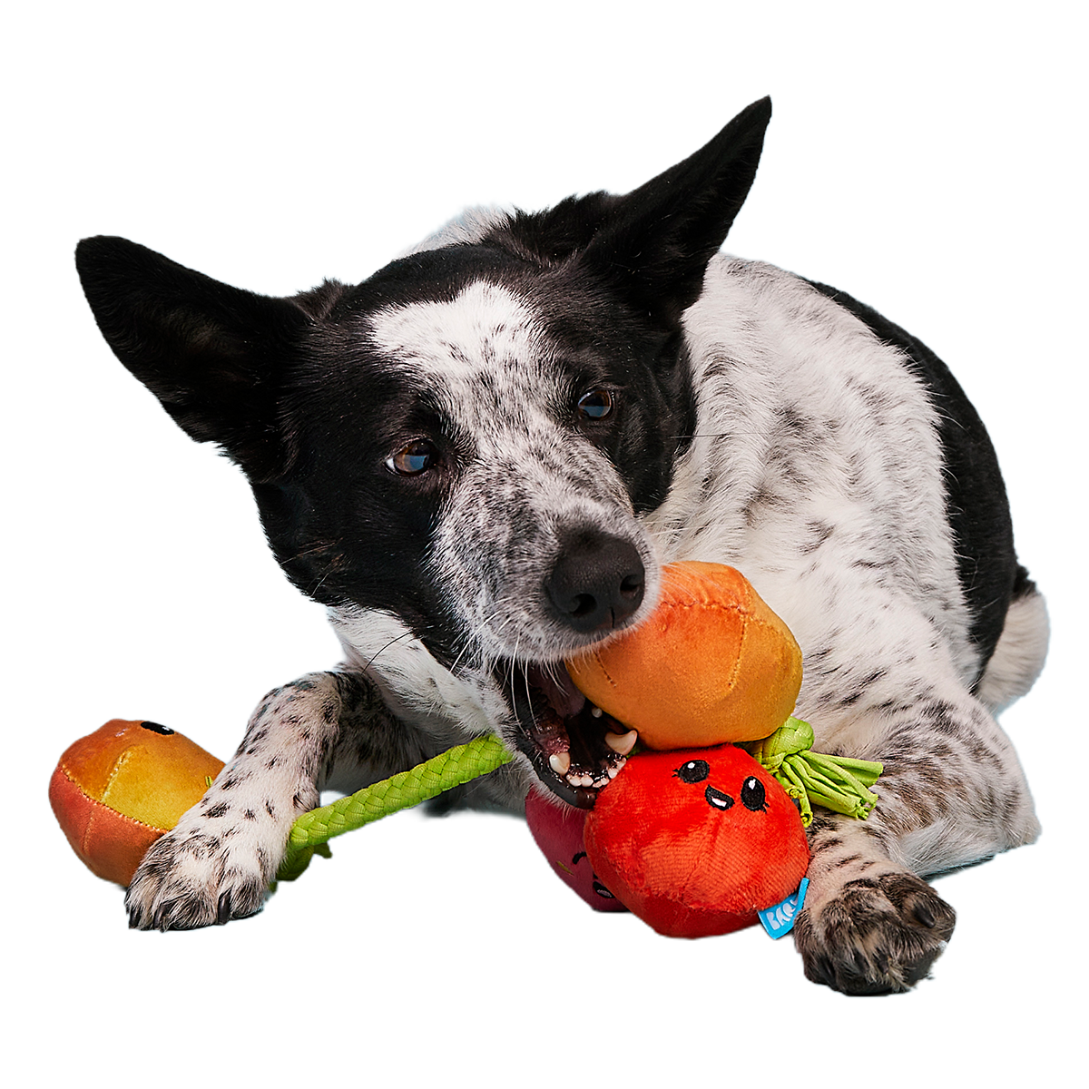 Hairloom Tomatoes Plush Tug Dog Toy