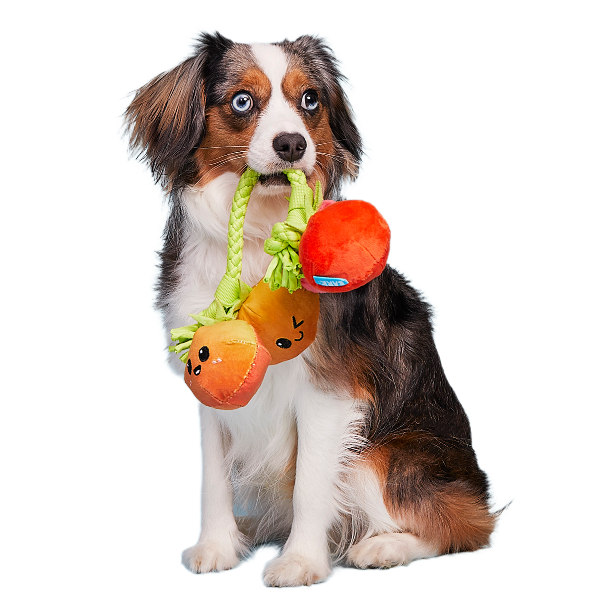 Hairloom Tomatoes Plush Tug Dog Toy