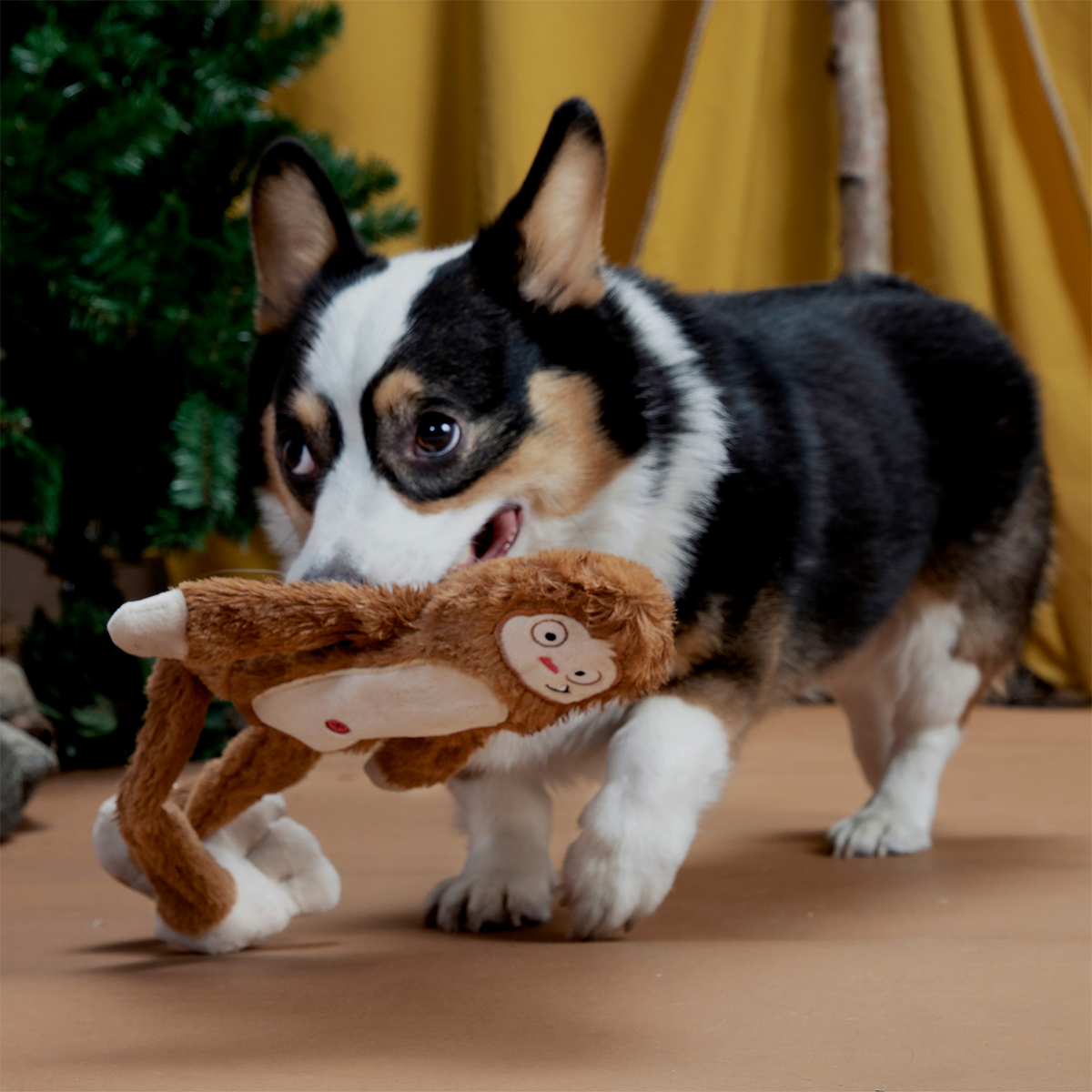 Hairy Henderson Plush Extra-Large + Tug Dog Toy