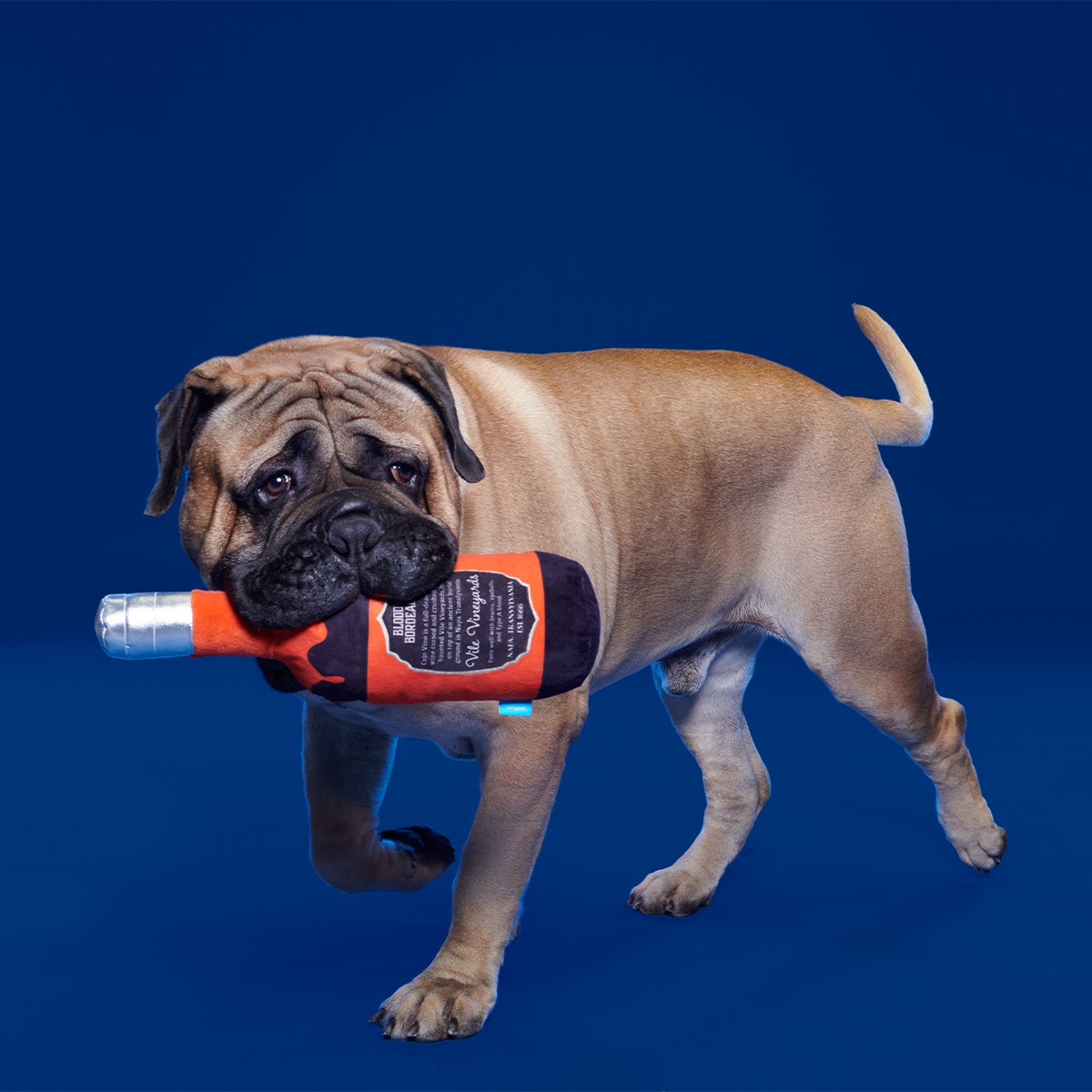 Hallowine Plush Extra-Large + Tug Dog Toy