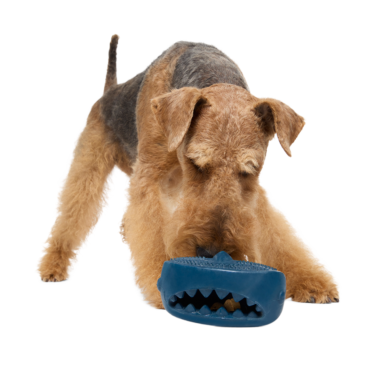 Hammer Fed Shark Super Chewer Durable Enrichment Dog Toy
