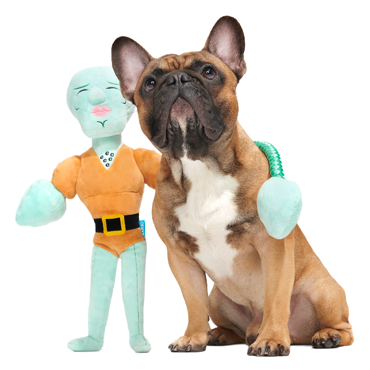 70s dog toy bark box Handsome Squidward Plush Extra-Large + Tug Dog Toy