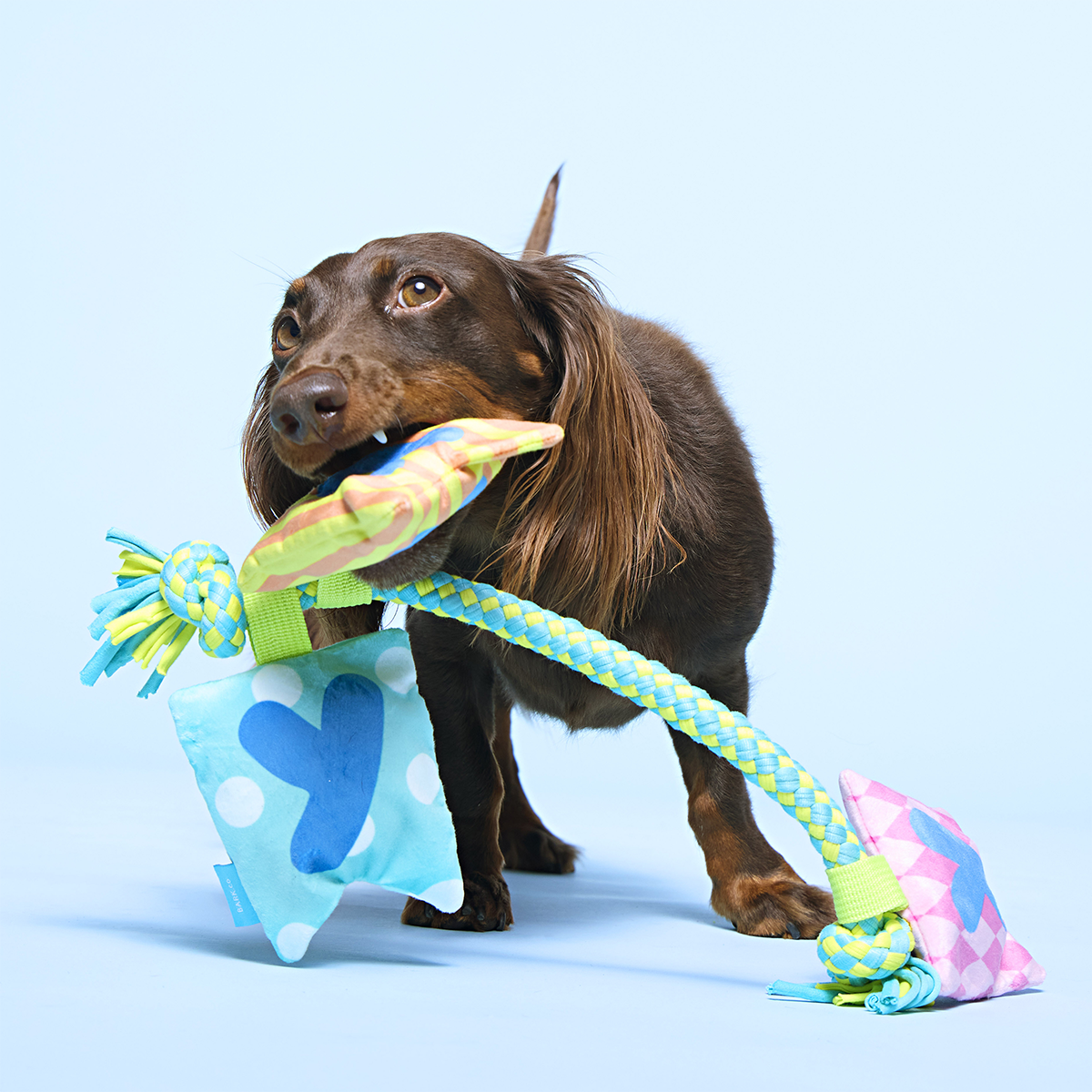 Happy Yay Banner Plush Tug Dog Toy