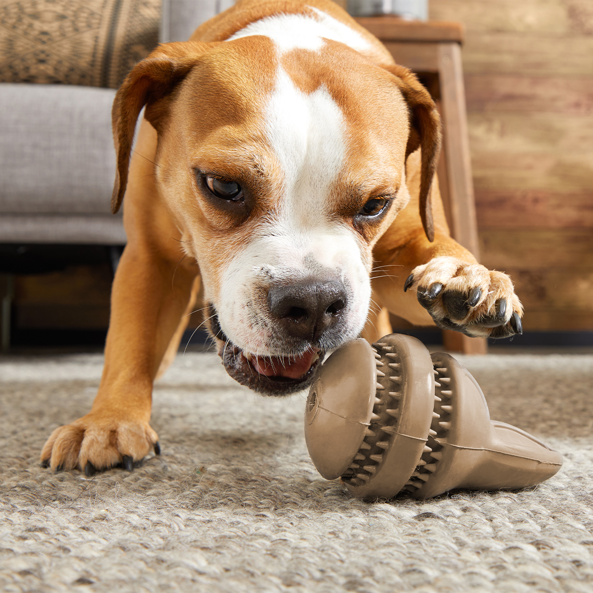 Hare Raiser Super Chewer Durable 2-in-1 + Enrichment Dog Toy
