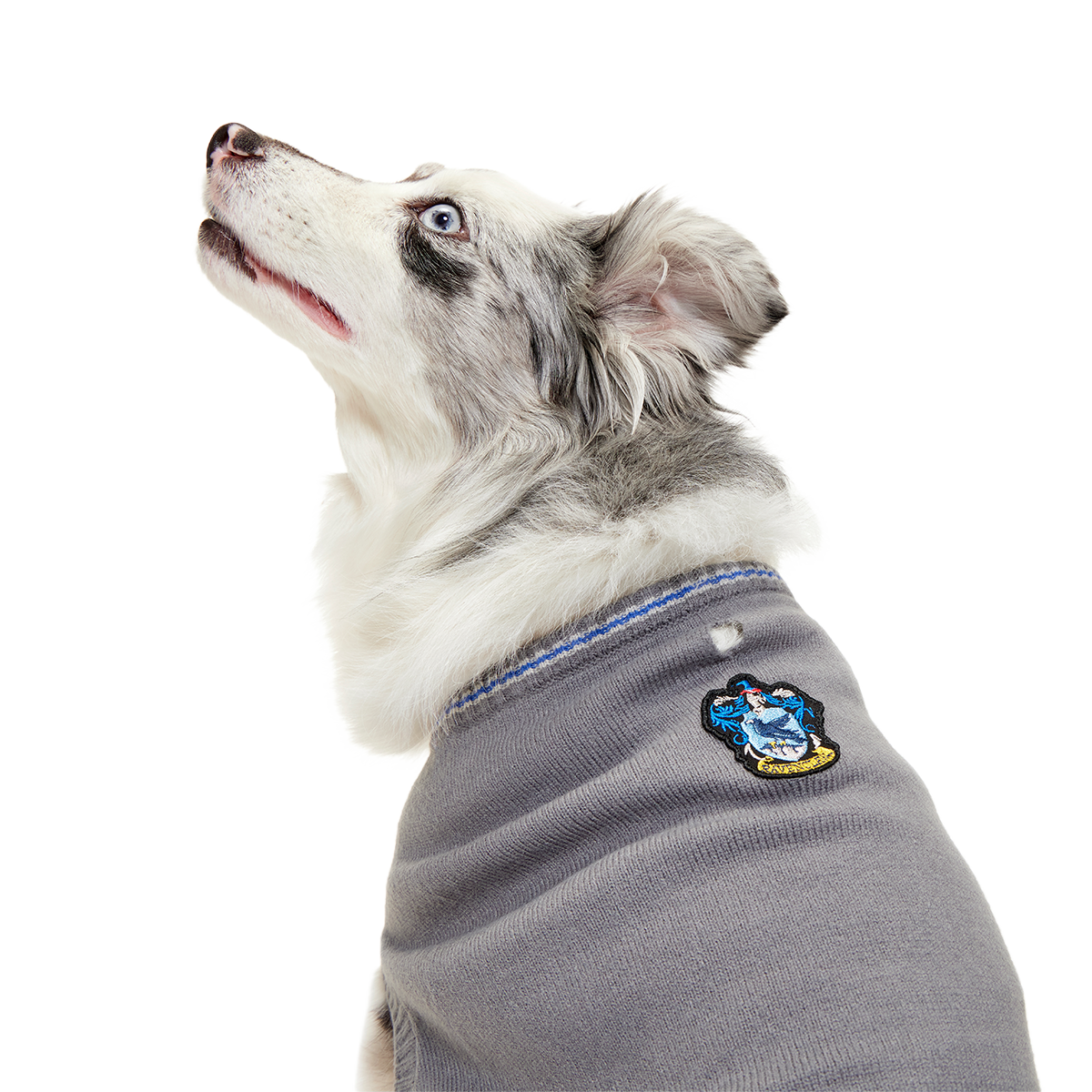 HARRY POTTER™ House Dog Sweater#Style_Ravenclaw™