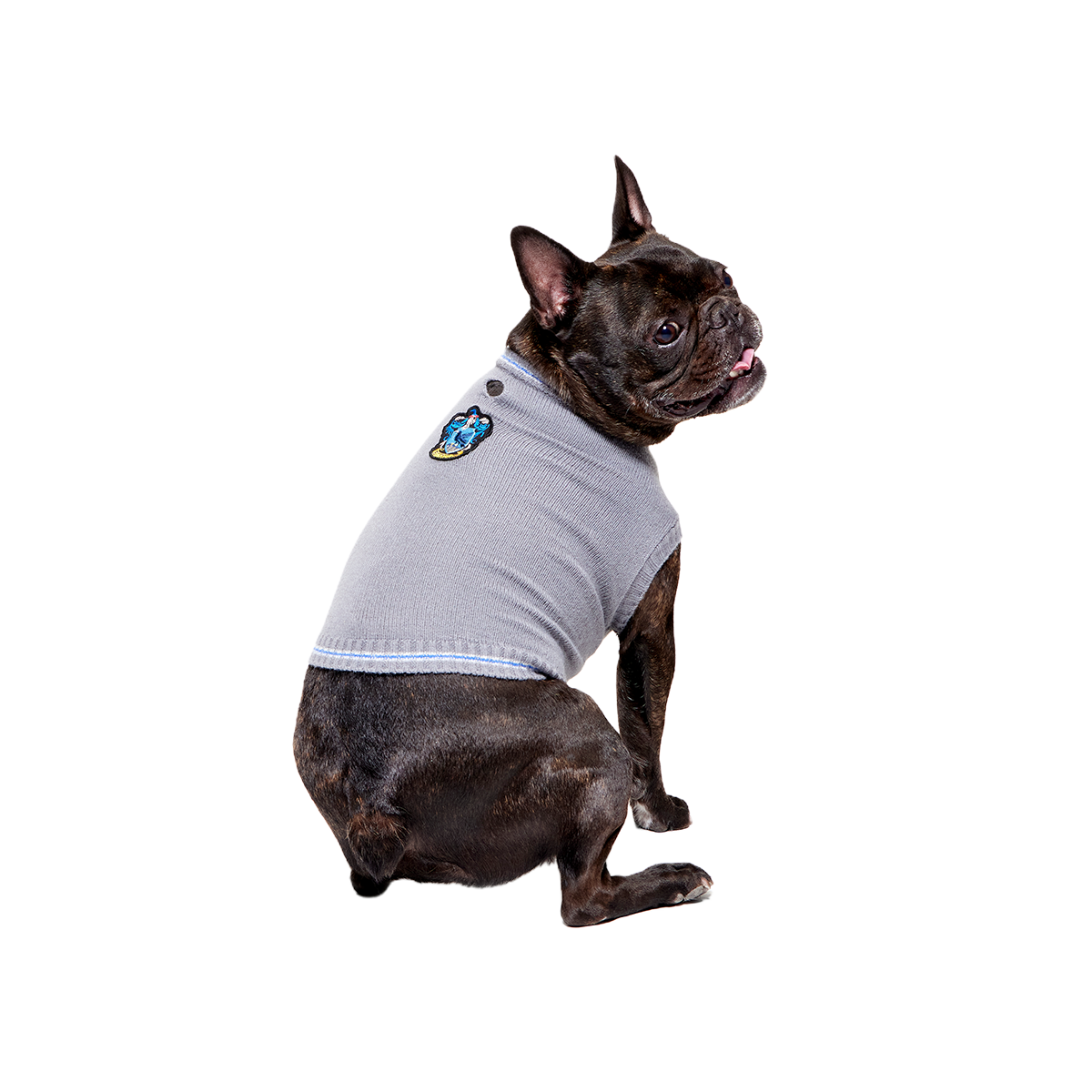 HARRY POTTER™ House Dog Sweater#Style_Ravenclaw™